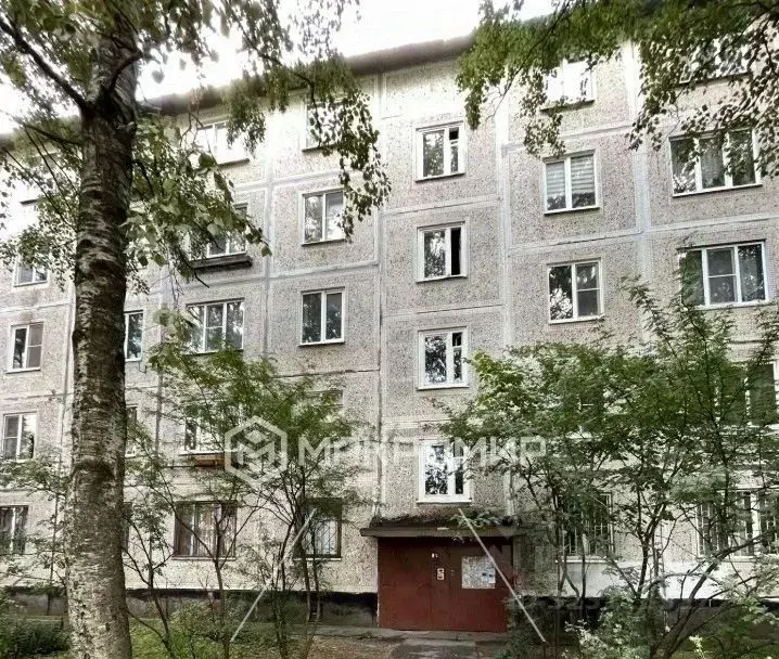 2-к кв. Санкт-Петербург Народная ул., 41 (45.4 м) - Фото 1