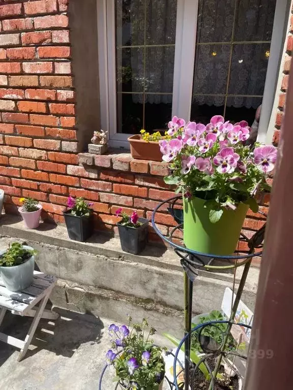 Дом в Калининградская область, Калининград ул. Барклая Де Толли, 7 ... - Фото 1