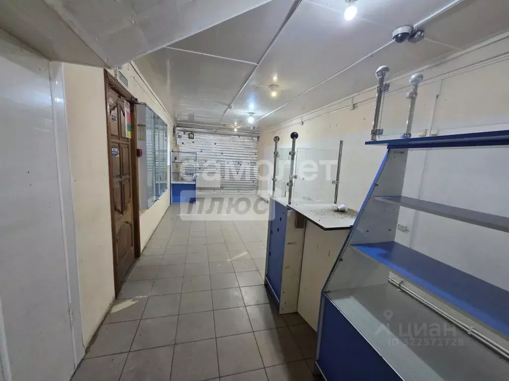 Помещение свободного назначения в Брянская область, Почепский район, ... - Фото 2