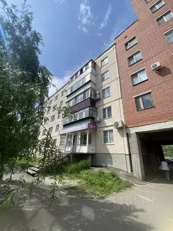 2-к кв. Курганская область, Курган Сибирская ул., 19 (44.0 м) - Фото 1