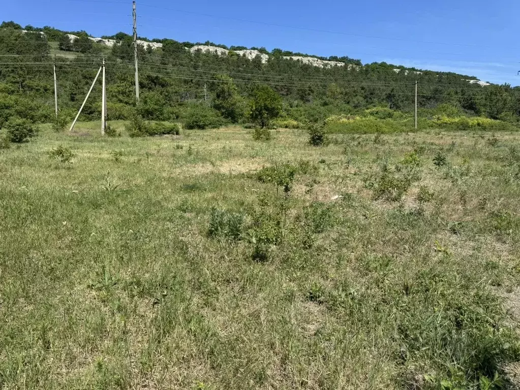 Участок в Крым, Симферопольский район, Перовское с/пос, Надежда ... - Фото 2