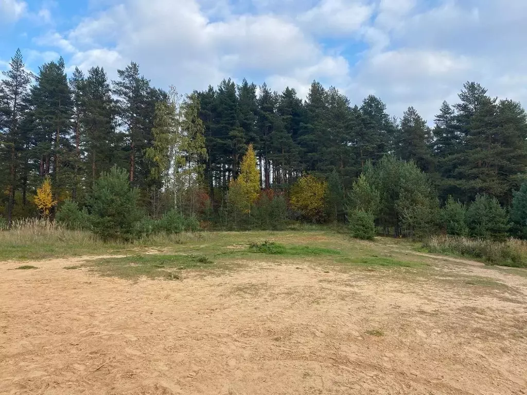 Участок в Ленинградская область, Приозерский район, Сосновское с/пос, ... - Фото 0