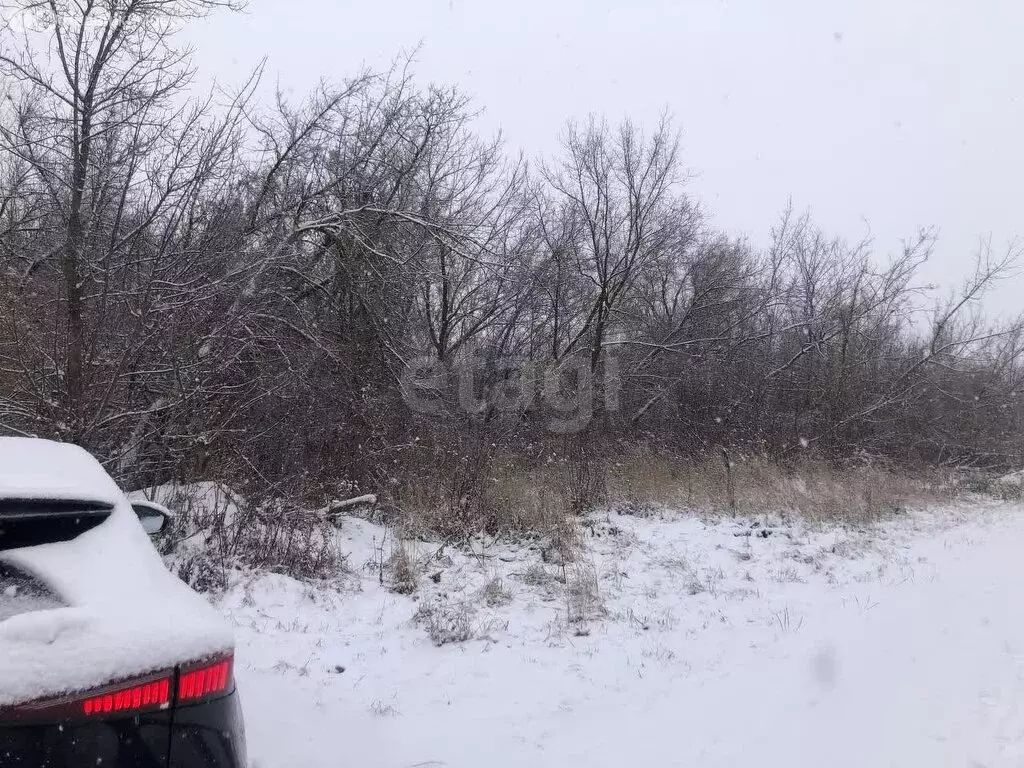 Участок в Саратовская область, Новобурасское муниципальное ... - Фото 0