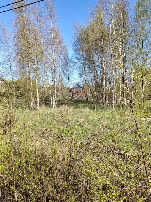 Участок в Новгородская область, Новгородский район, Бронницкое с/пос, ... - Фото 1