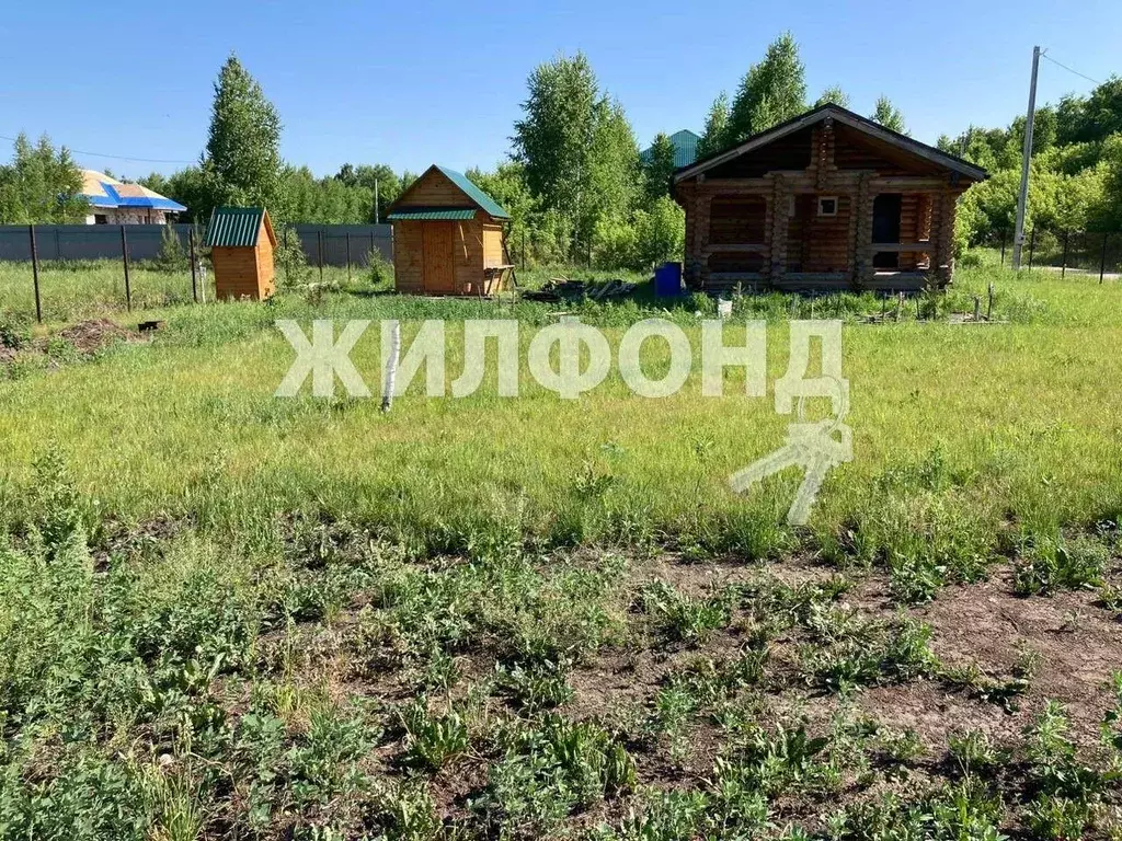 Купить Квартиру В Агролесе Искитимский Район