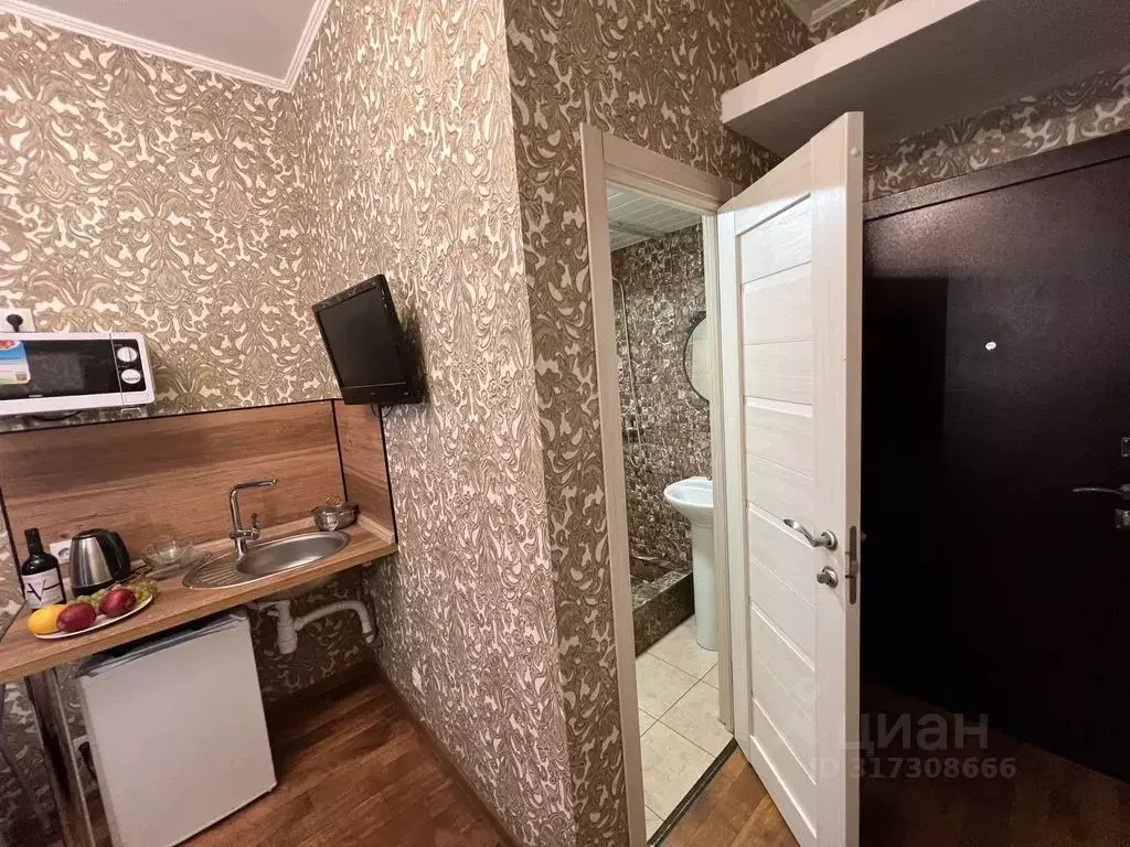 Студия Санкт-Петербург ул. Черняховского, 31 (16.0 м) - Фото 0