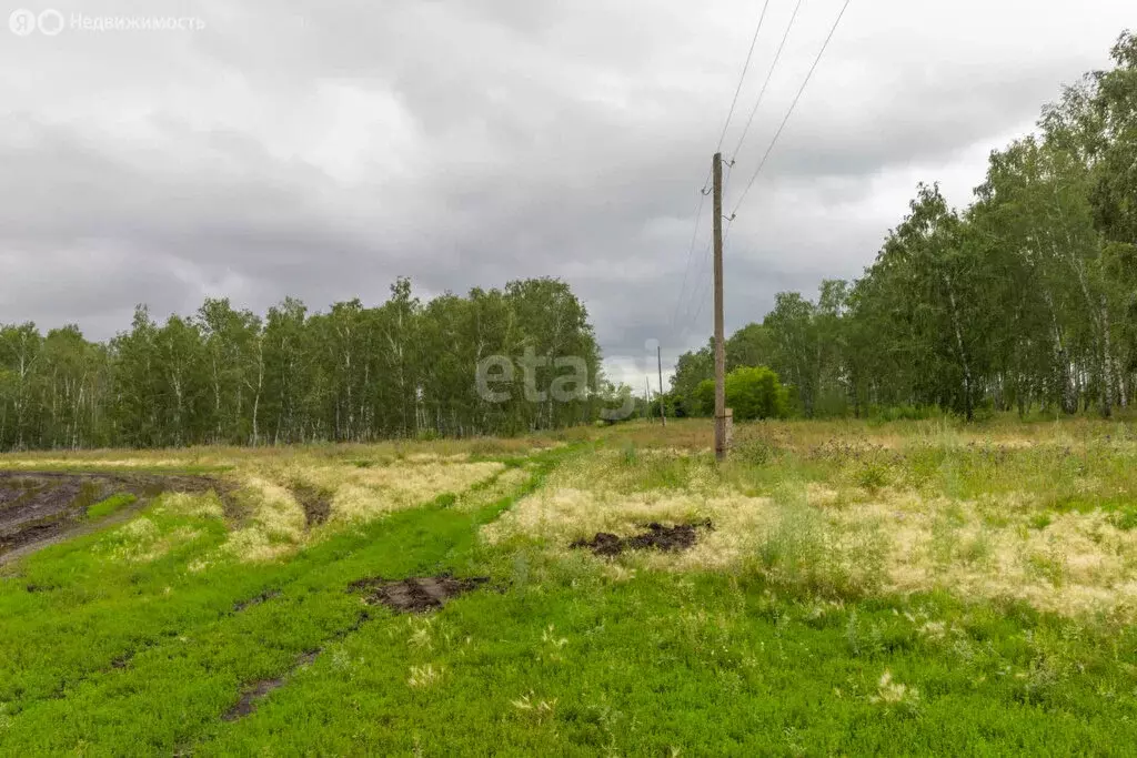 Участок в Омская область, село Азово (13 м) - Фото 1