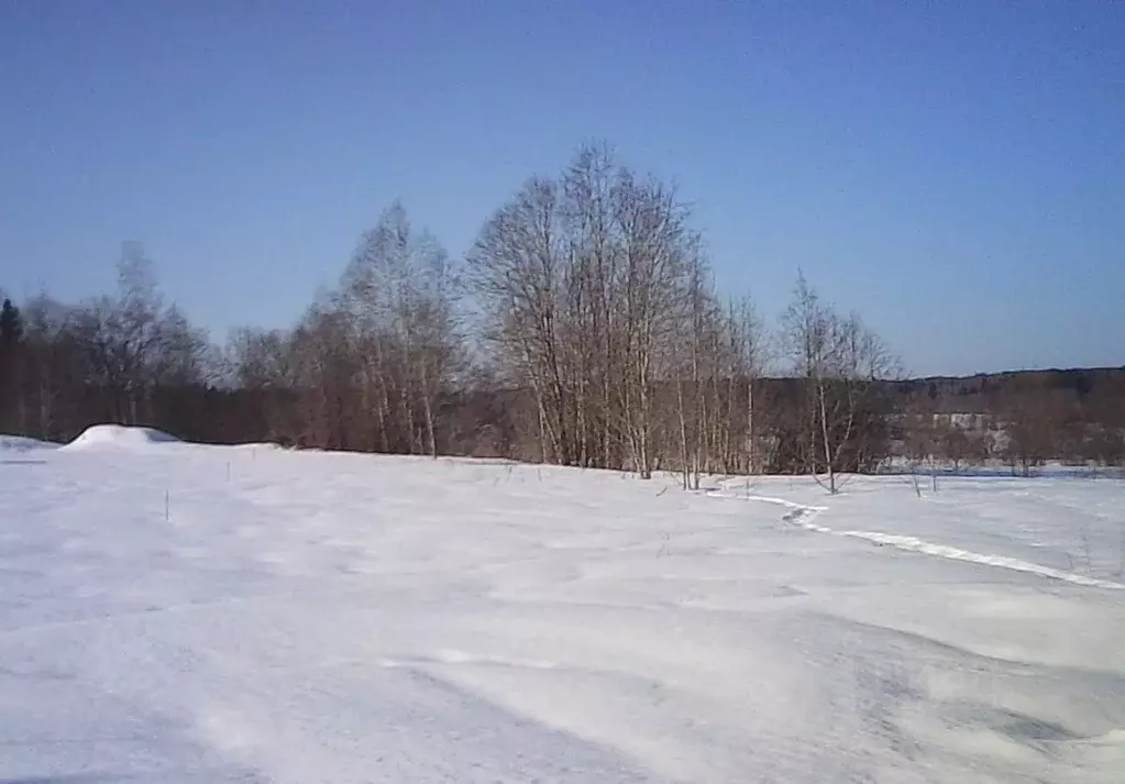 Участок в Московская область, Шаховская муниципальный округ, д. ... - Фото 1