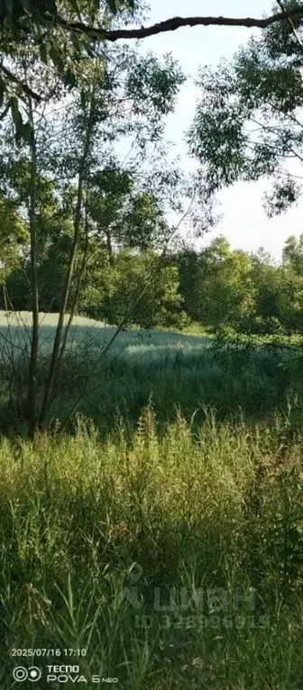 Участок в Пензенская область, Кузнецкий район, с. Радищево ул. ... - Фото 1
