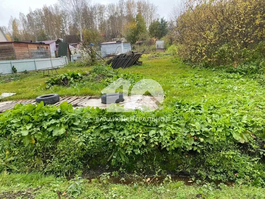 Участок в Мошковский район, СНТ Жилстроевец, 114А (6 м) - Фото 1