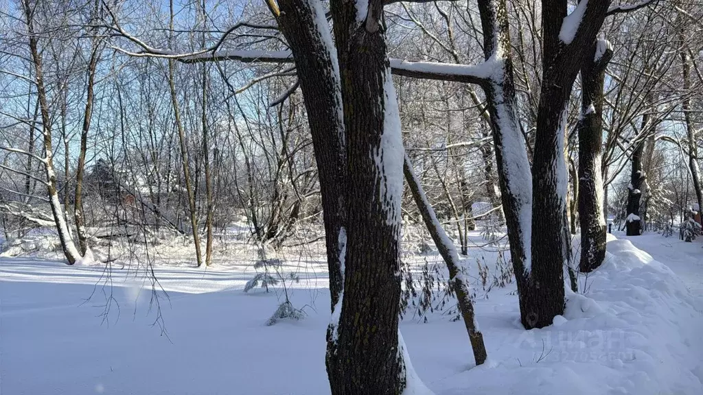 Участок в Московская область, Кашира городской округ, д. Токарево ул. ... - Фото 2