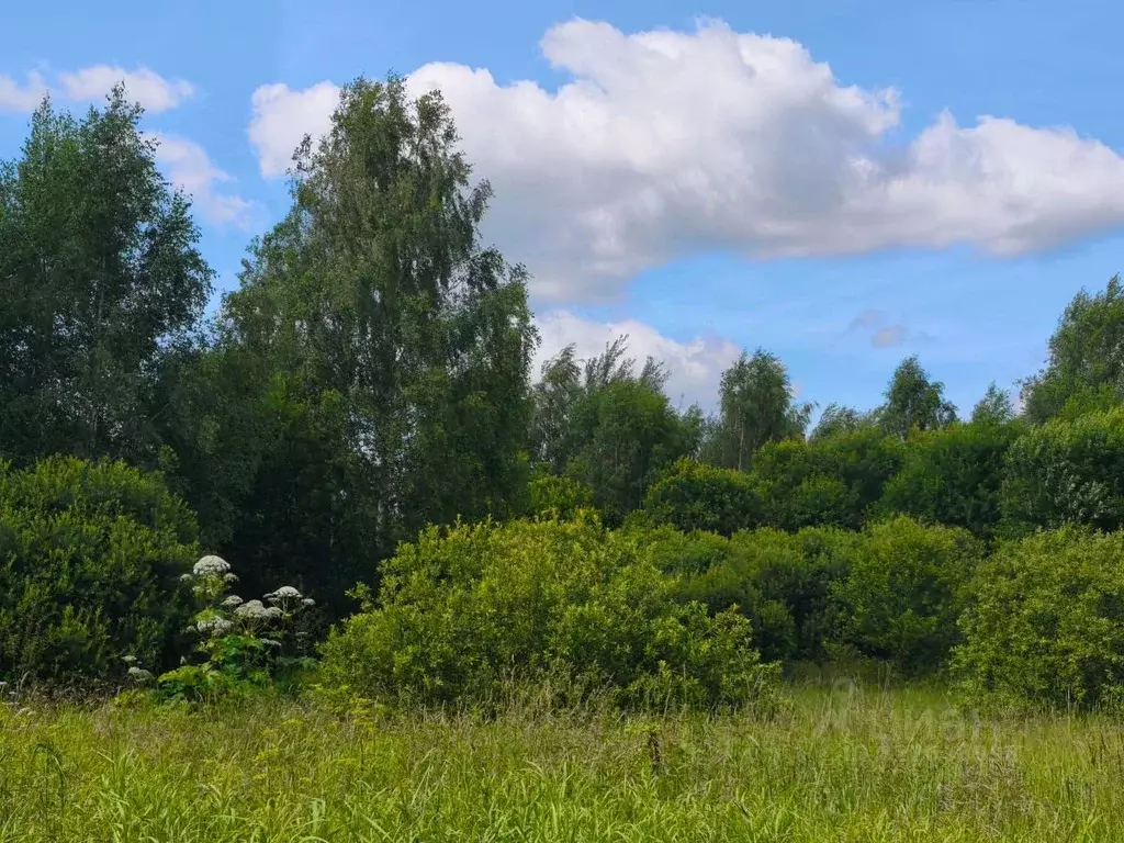 Участок в Московская область, Орехово-Зуевский городской округ, д. ... - Фото 2