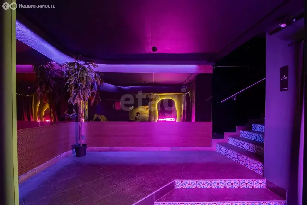 Помещение свободного назначения (227 м) - Фото 2