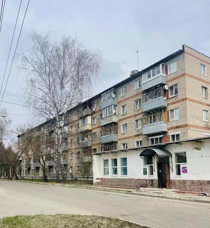 1-к кв. Московская область, Рошаль ул. Октябрьской Революции, 21/1 ... - Фото 1