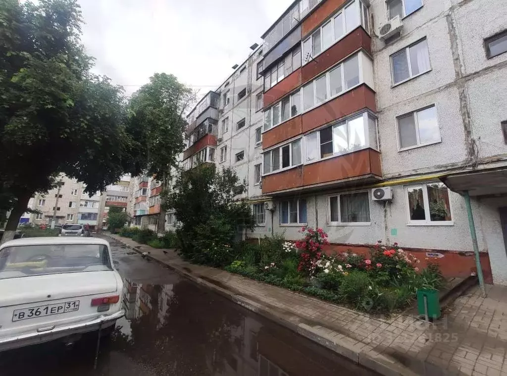 2-к кв. Белгородская область, Белгород Привольная ул., 5 (47.6 м) - Фото 1