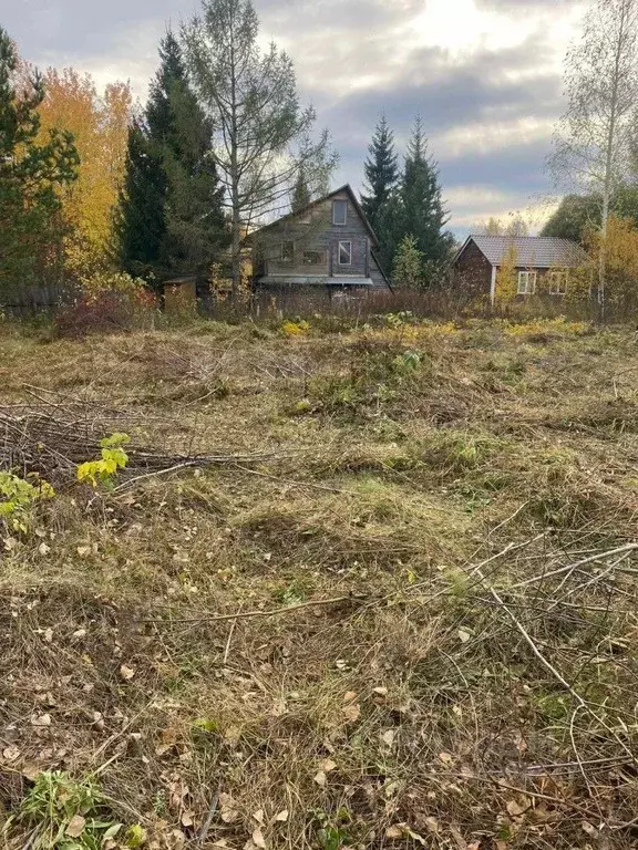 Участок в Свердловская область, Екатеринбург Рассвет СНТ, 58 (12.7 ... - Фото 1