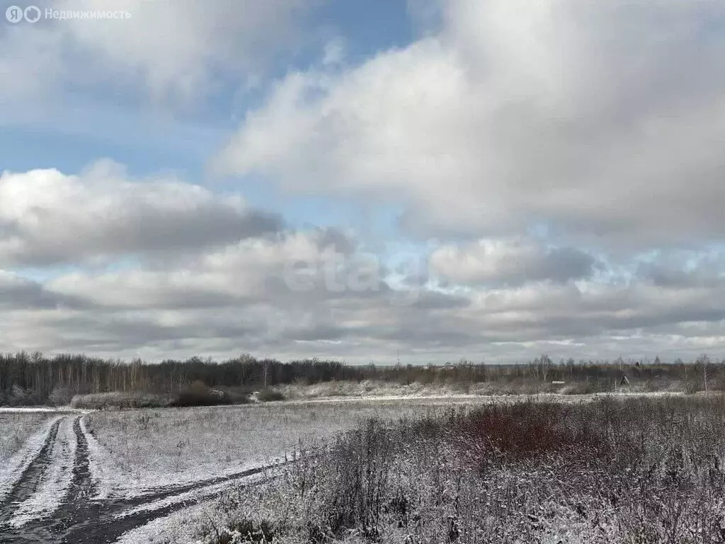Участок в Саранск, садоводческое товарищество Буревестник (4 м) - Фото 1
