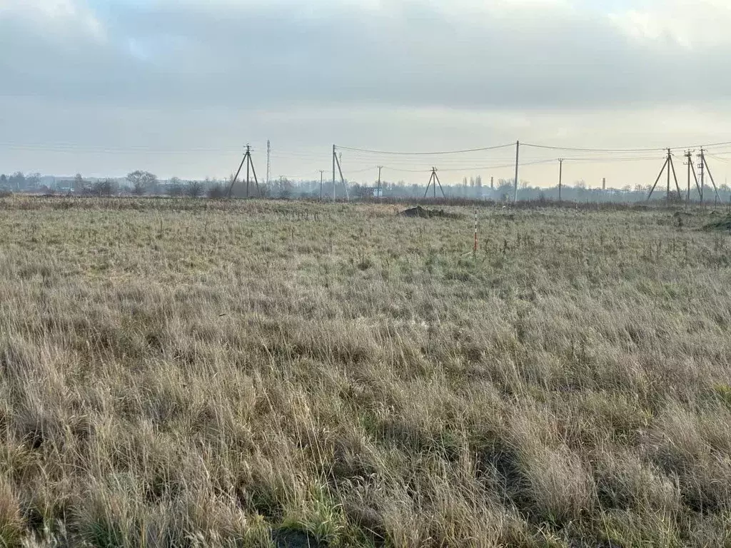 Участок в Калининградская область, Зеленоградский муниципальный округ, ... - Фото 1