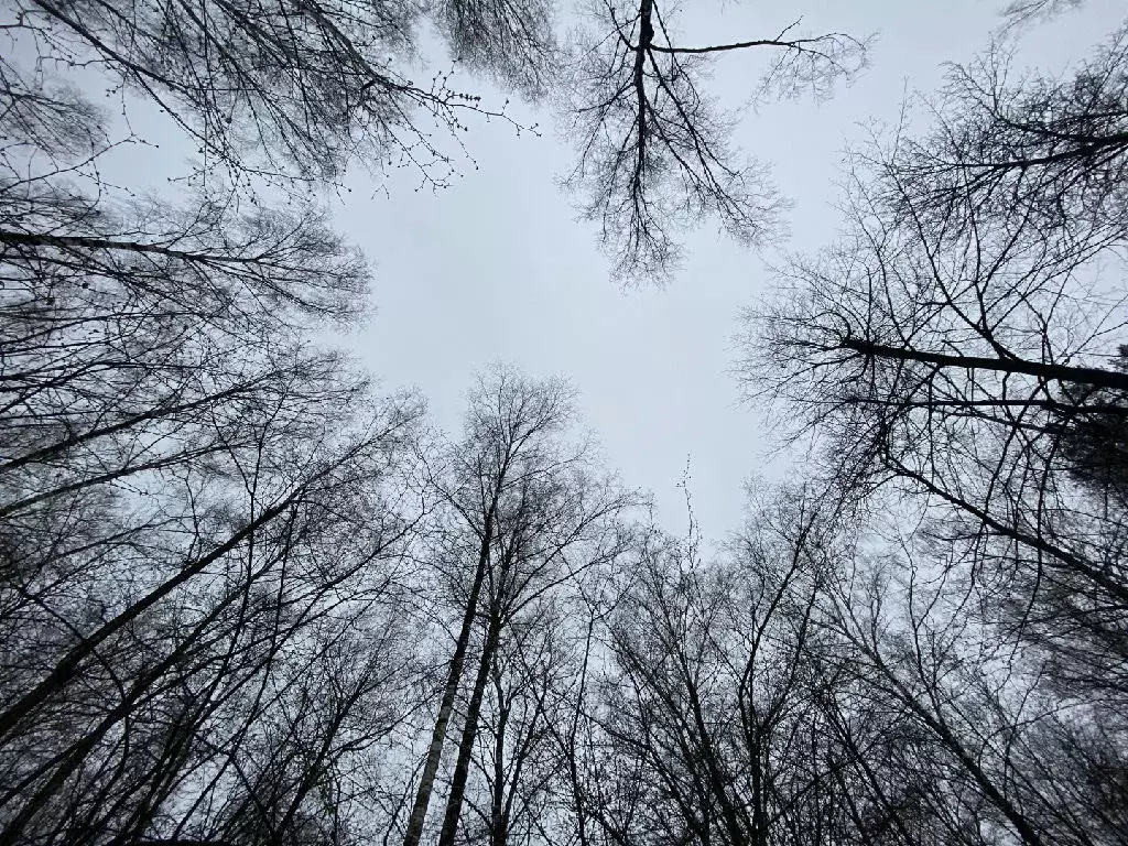 Продается участок в д. Прудки - Фото 0