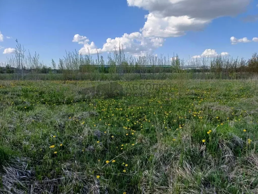 Участок в Новгородская область, Новгородский район, Савинское с/пос, ... - Фото 1