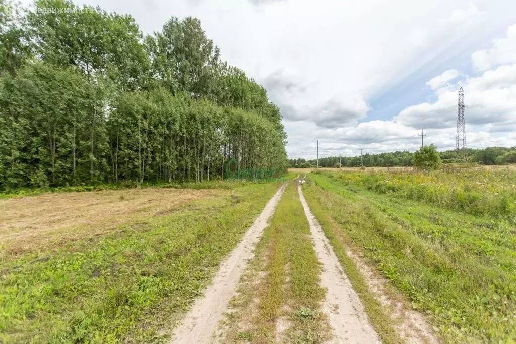 Участок в Тобольск, улица Семёна Ремезова (85 м) - Фото 1