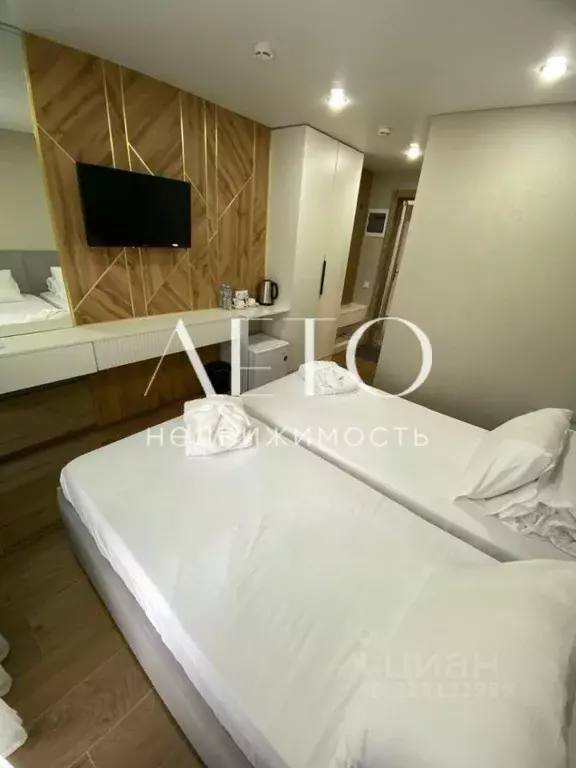 Студия Краснодарский край, Сочи Главная ул., 17/30 (17.0 м) - Фото 2