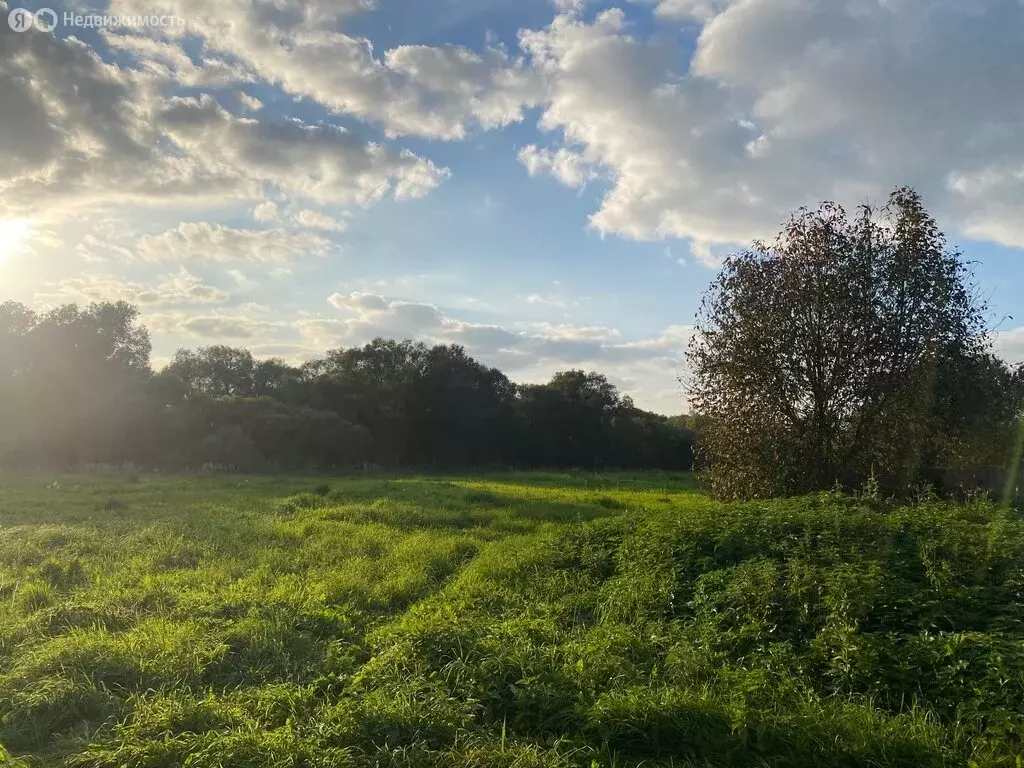 Участок в сельское поселение Малаховское, деревня Нижнее Романово (13 ... - Фото 1