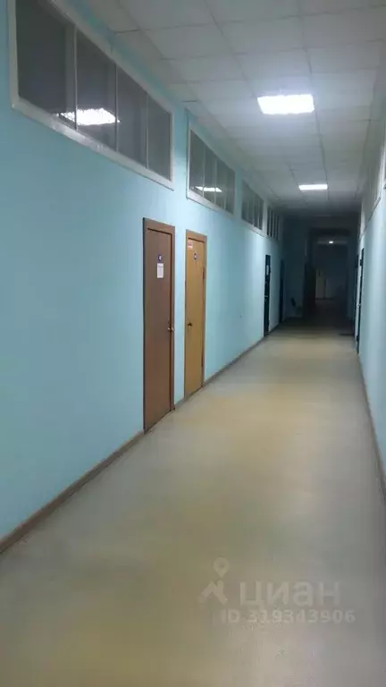 Офис в Новосибирская область, Новосибирск Советская ул., 52 (22 м) - Фото 1