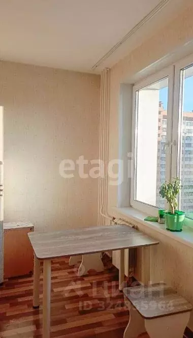 Студия Красноярский край, Красноярск наб. Ярыгинская, 29 (36.0 м) - Фото 2