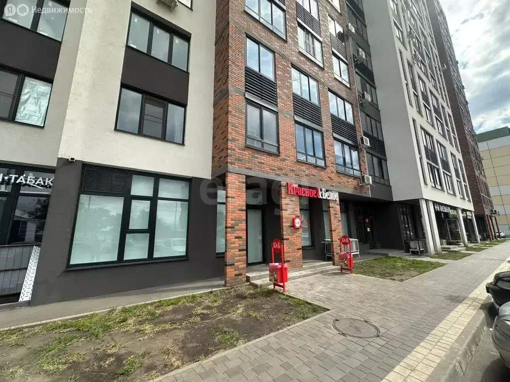 Квартира-студия: Воронеж, Ростовская улица, 67 (227 м) - Фото 1