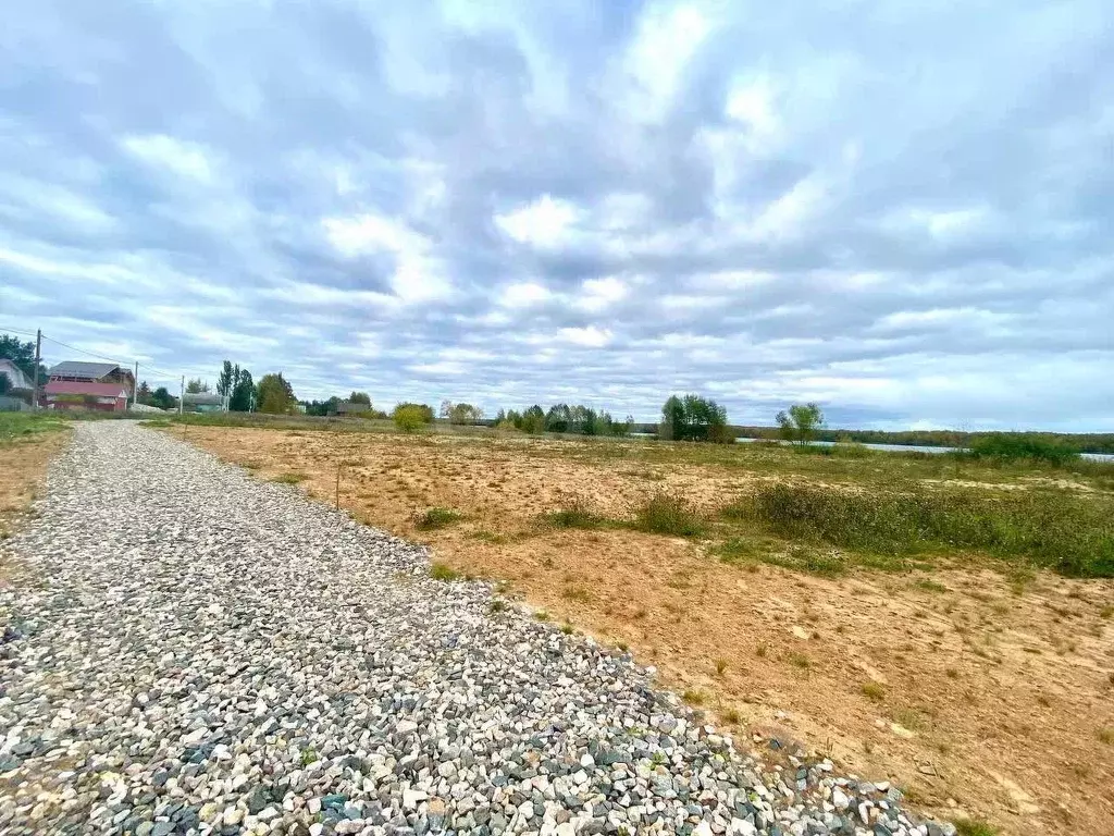 Участок в Костромская область, Красносельский район, Сидоровское ... - Фото 1