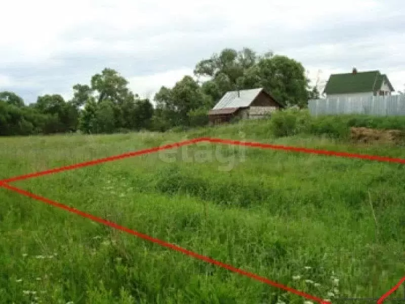 Участок в Владимирская область, Муром д. Глебовка, ул. Песочная (15.0 ... - Фото 2