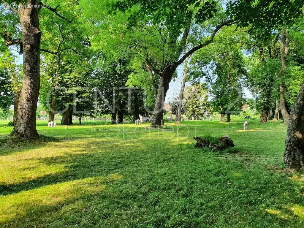 Участок в Калининградская область, Приморск (8.36 м) - Фото 1