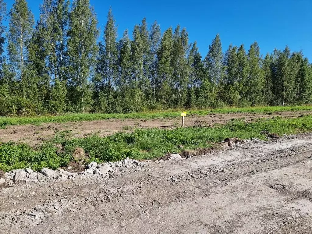 Участок в Ленинградская область, Всеволожский район, Свердловское ... - Фото 1