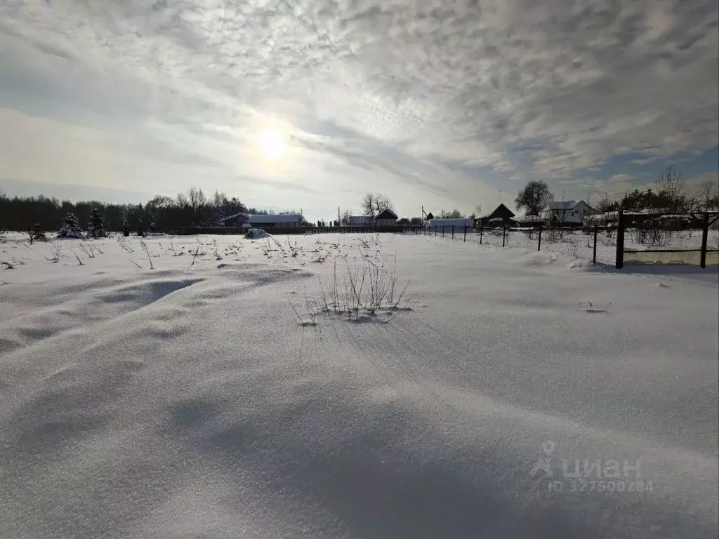 Участок в Московская область, Рузский муниципальный округ, д. ... - Фото 1