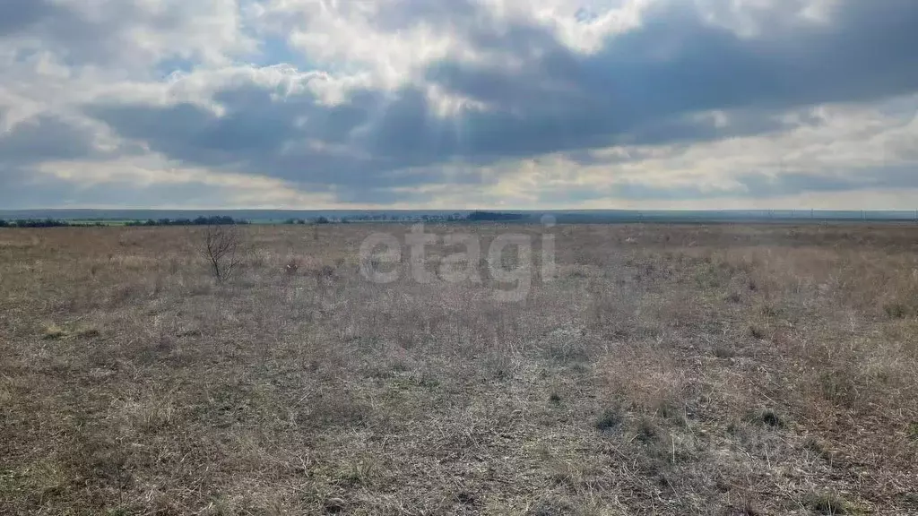 Участок в Крым, Черноморский район, с. Межводное ул. Ароматная (24.0 ... - Фото 1