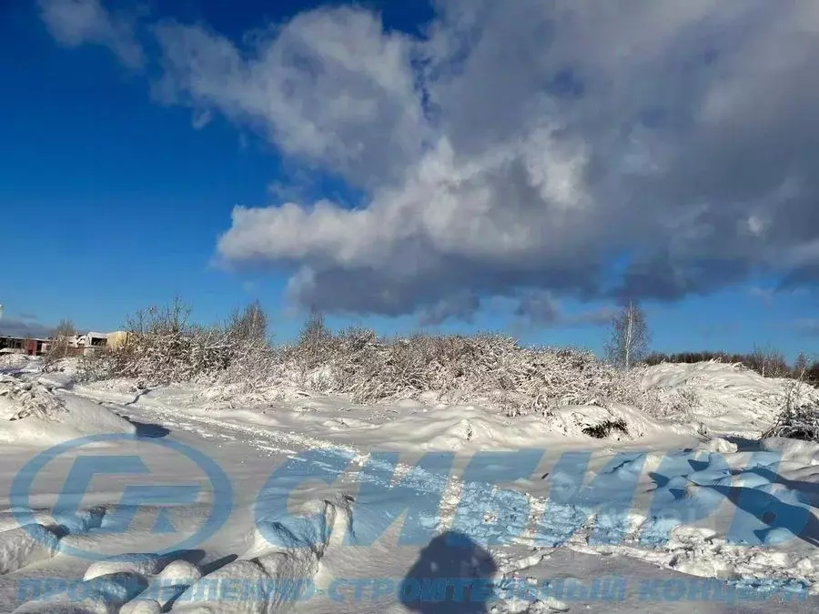 Участок в Новосибирская область, Новосибирский район, Морской ... - Фото 2