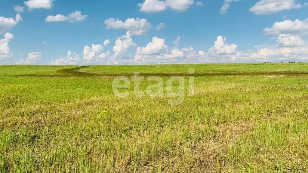 Участок в Тульская область, Новомосковск Сокольники мкр,  (13.1 сот.) - Фото 1