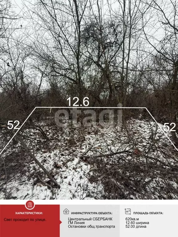 Участок в Белгородская область, Губкин Горняк-Мичуринец СТ, 11 (6.0 ... - Фото 1