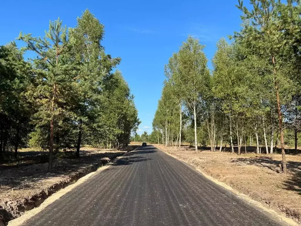 Участок в Московская область, Подольск городской округ, Пузиково кп 71 ... - Фото 2