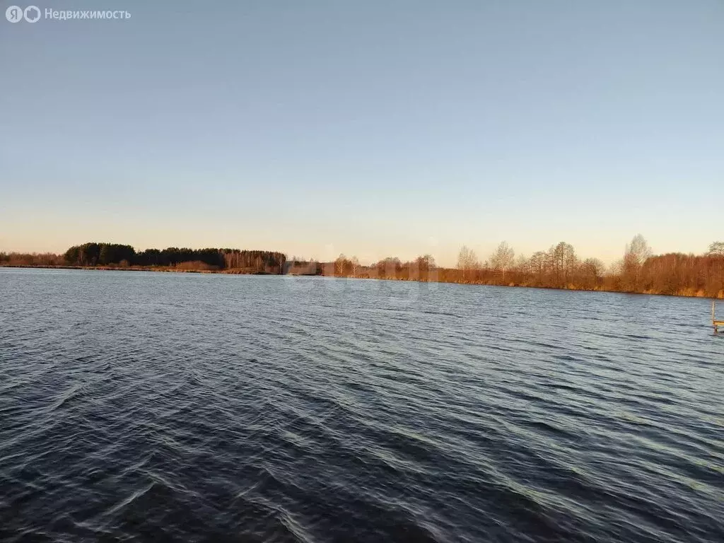 Участок в Нижегородская область, Городецкий муниципальный округ, ... - Фото 1