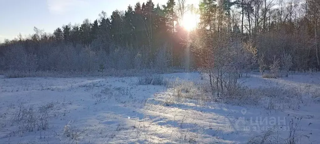 Участок в Московская область, Павлово-Посадский городской округ, д. ... - Фото 0