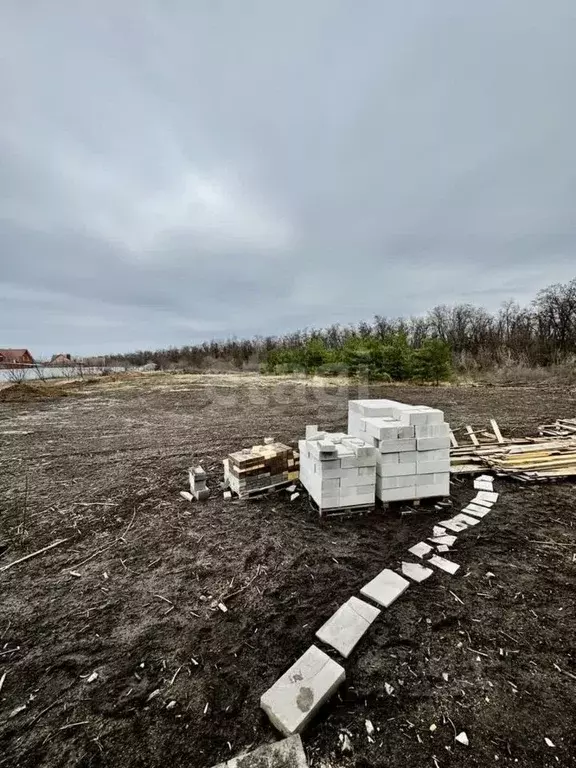 Участок в Белгородская область, Белгородский район, Разумное рп ул. ... - Фото 0