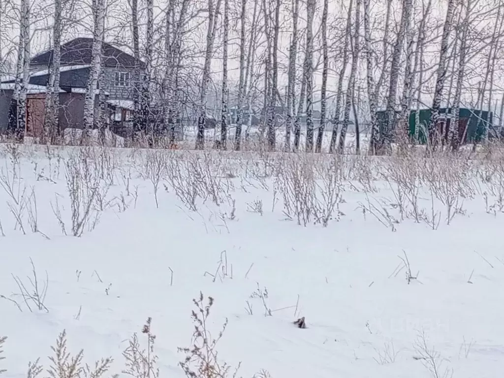 Участок в Омская область, Омский район, с. Усть-Заостровка Березовая ... - Фото 0