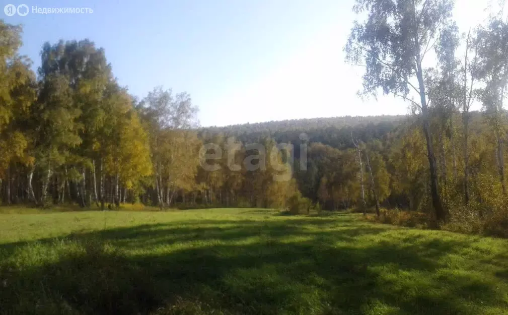 Участок в село Каменка, Советская улица (8 м) - Фото 1