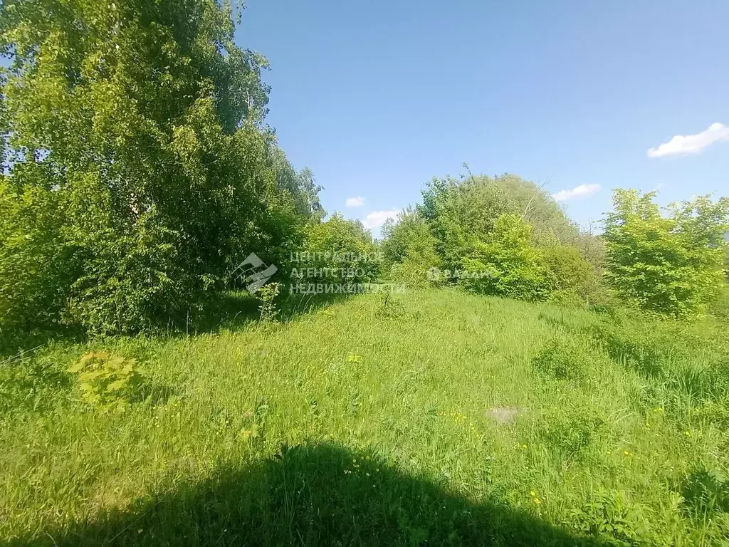 Участок в Рязанская область, Рязанский муниципальный округ, с. ... - Фото 1