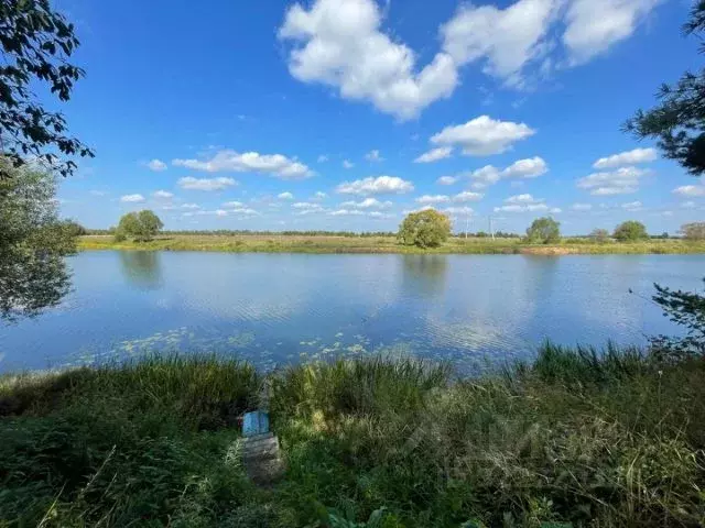 Участок в Тверская область, Калининский муниципальный округ, д. Селино ... - Фото 1