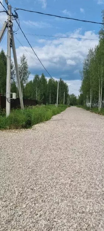 Участок в Московская область, Чехов муниципальный округ, пос. ... - Фото 0