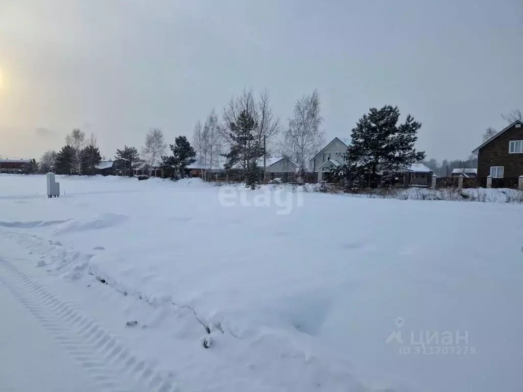 Участок в Алтайский край, Первомайский район, с. Фирсово ул. Дубовая, ... - Фото 1