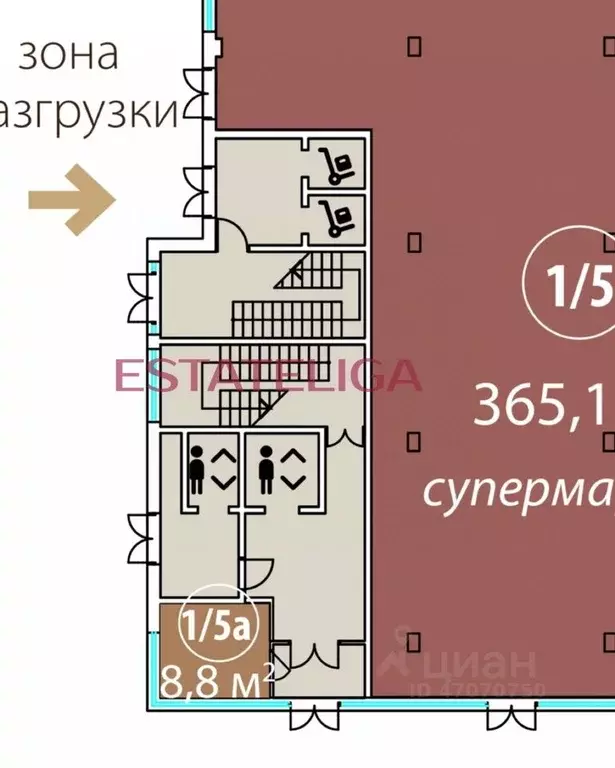 Помещение свободного назначения в Москва Дмитровское ш., 81 (9 м) - Фото 2